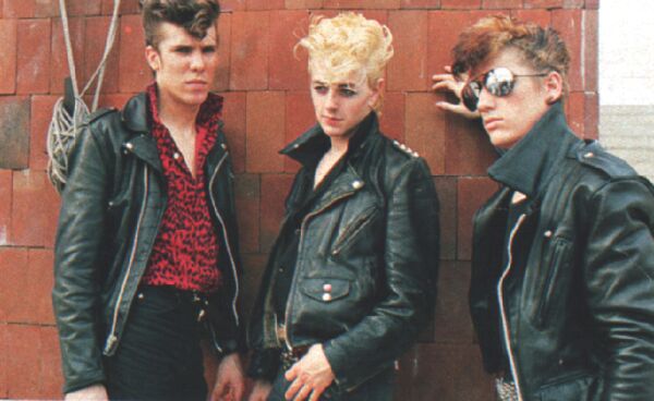 Stray Cats young