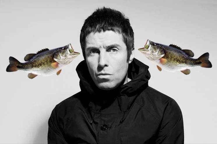 Liam Gallagher and fishes