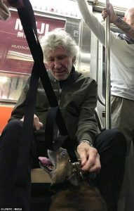 Roger Waters subway dog
