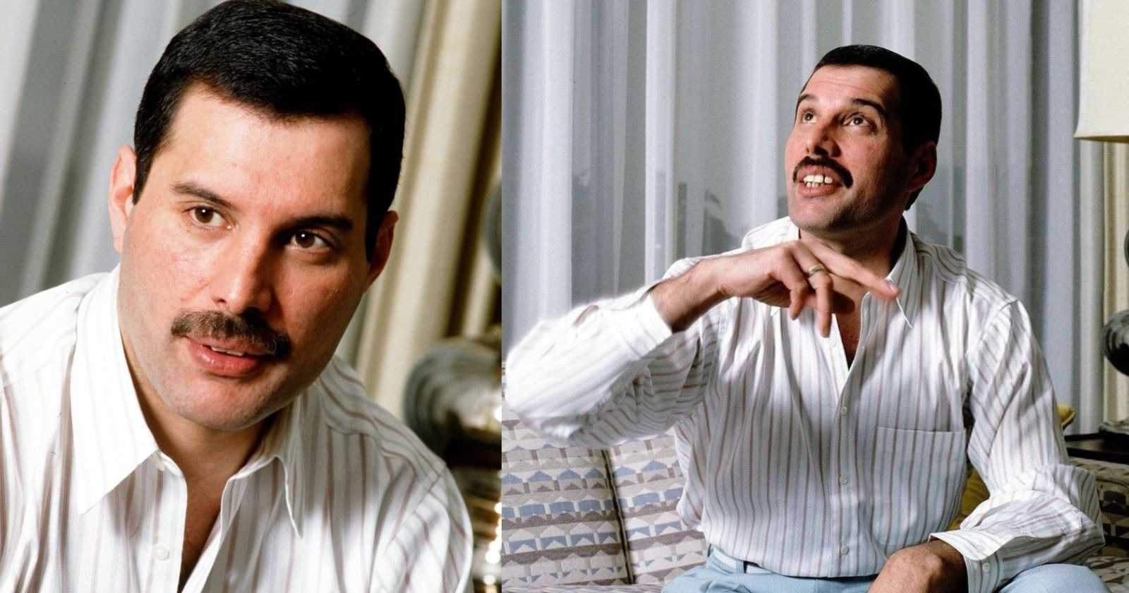 Freddie Mercury quotes
