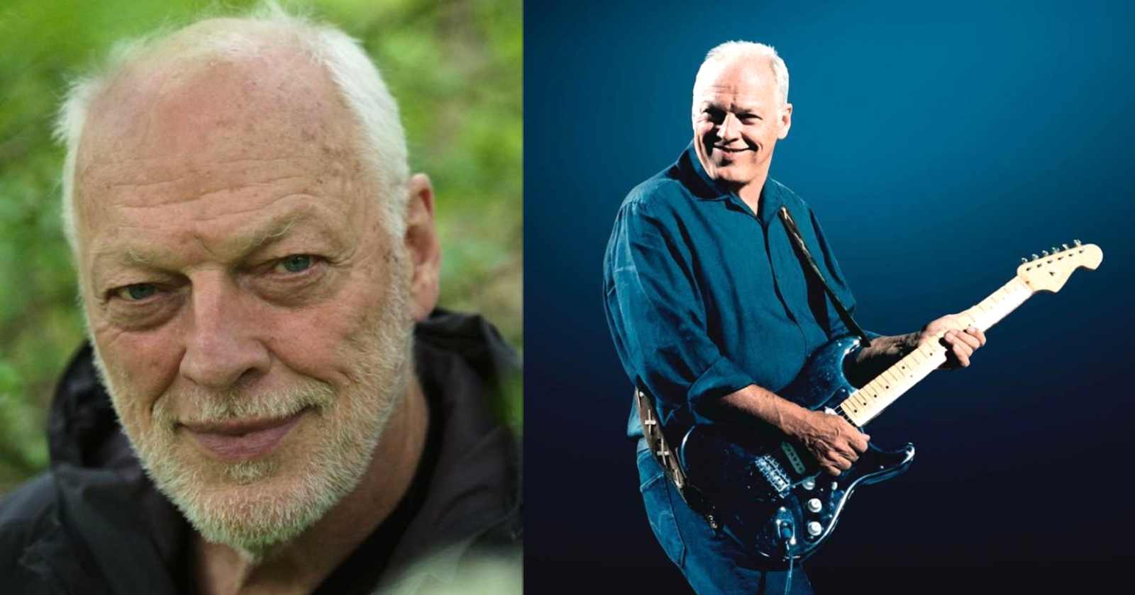 David Gilmour - wide 5