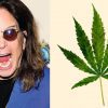 Ozzy weed