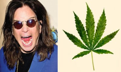 Ozzy weed