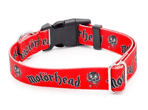 Motorhead dog collar