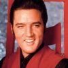 Elvis Presley red