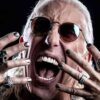 Dee Snider 2026