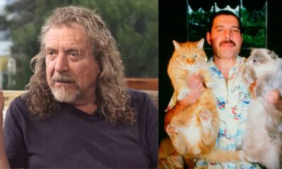 Robert Plant