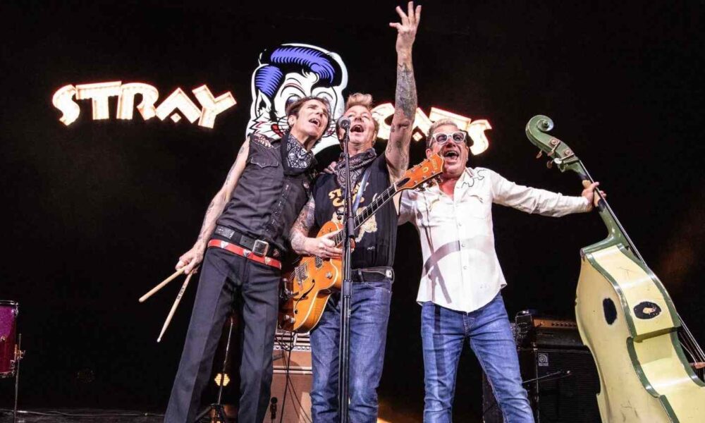 Stray Cats