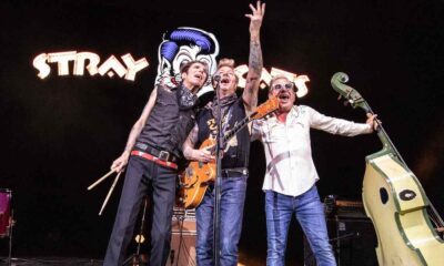 Stray Cats