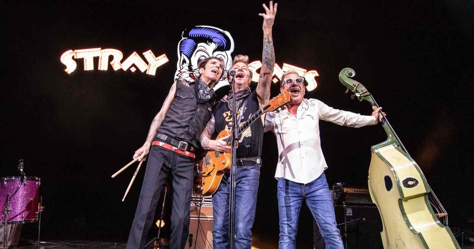 Stray Cats