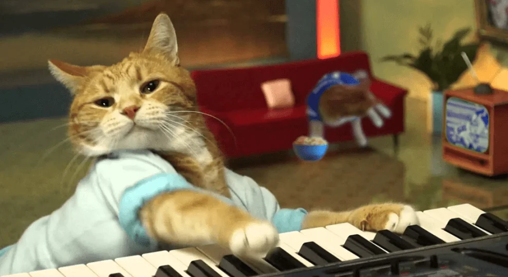 Bento, the keyboard cat