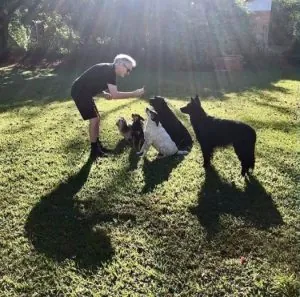 Wayne Hussey dogs