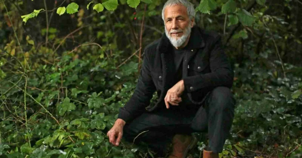 Cat Stevens