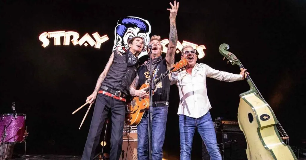 Stray Cats